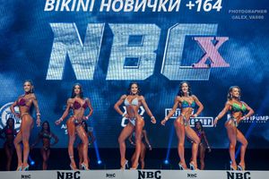 BIKINI НОВИЧКИ +164